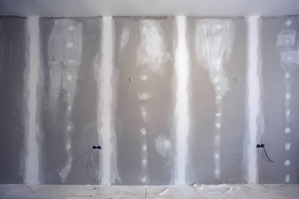 Best Wall Texturing and Painting  in Yuma, AZ